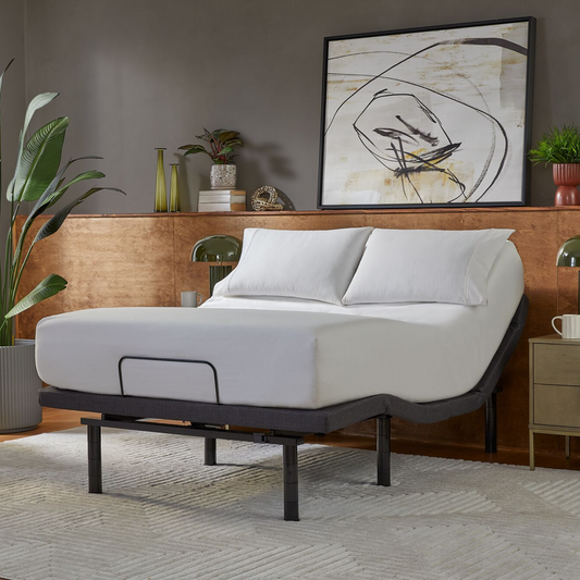 Baselogic Platinum Adjustable Bed - Misc image 1