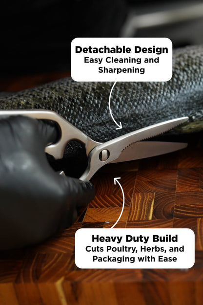 Scissors + Pizza Wheel | Dalstrong © - Misc image 7