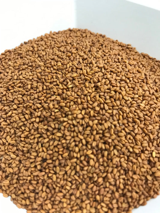 Camelina Seed, 50lb bag - Misc image 1