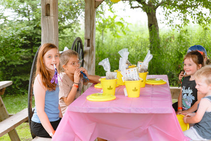 Birthday Parties 2025 - Misc image 8