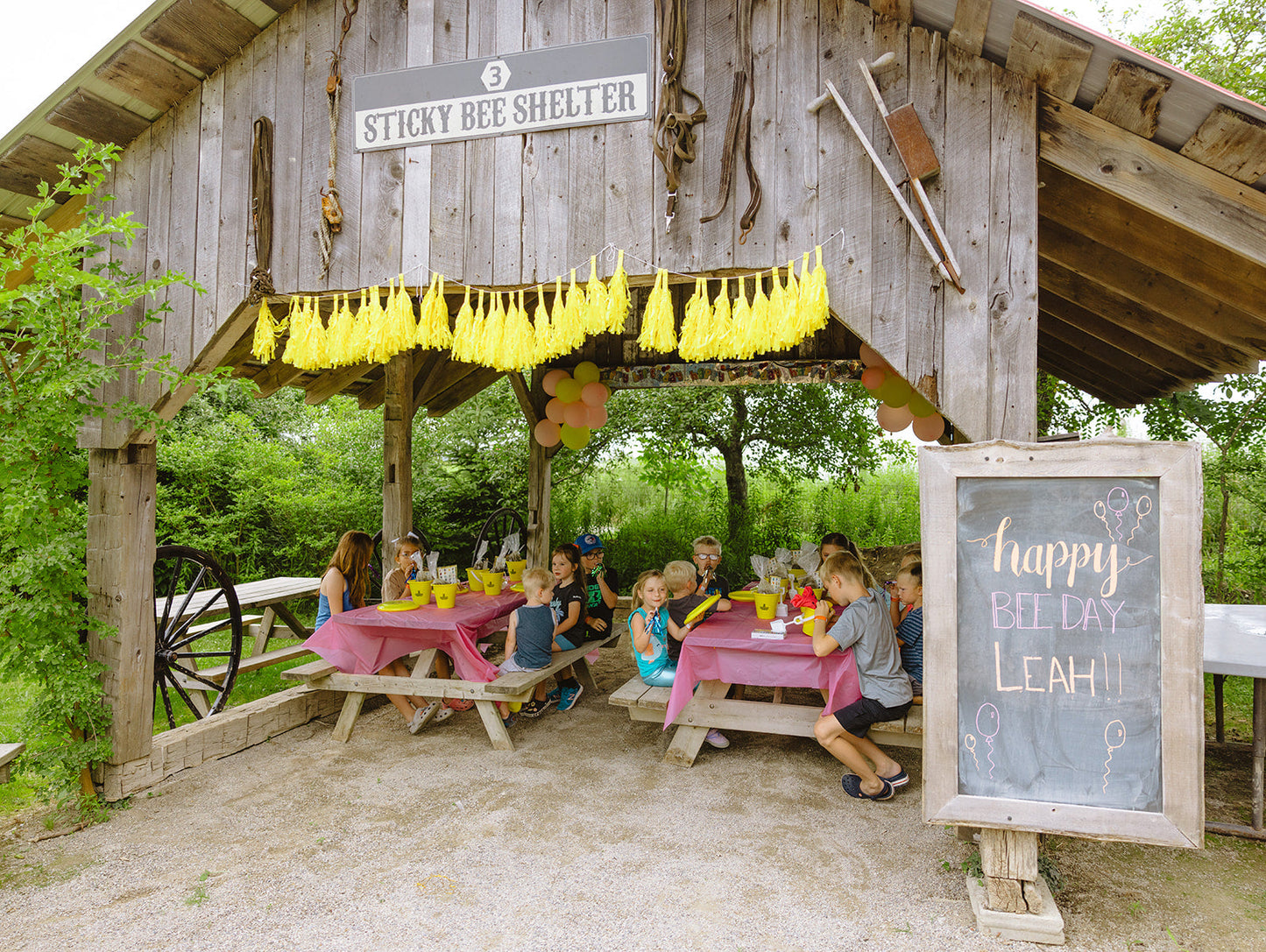 Birthday Parties 2025 - Misc image 9