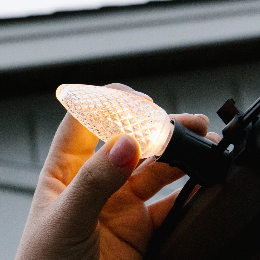 C9 Bulbs (Pallet of 25,000) Preorder - Misc image 2
