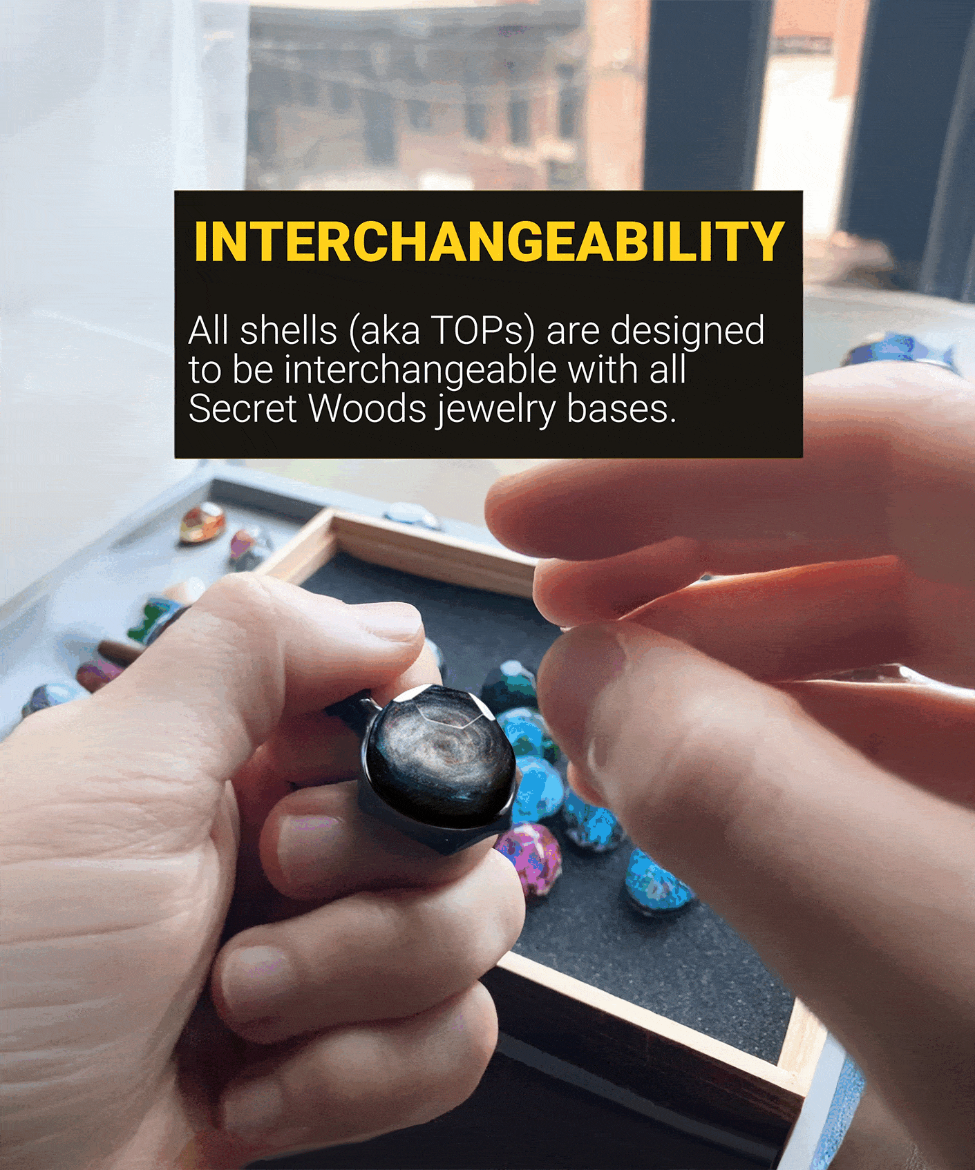 Little Prince - Misc image 3