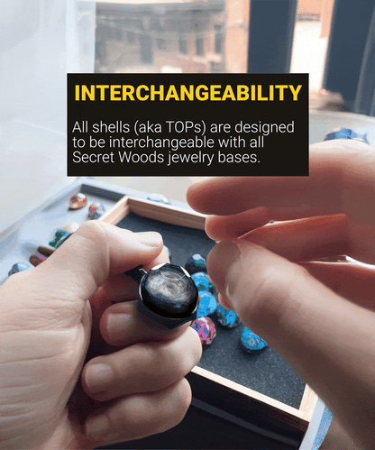 Little Prince - Misc image 3