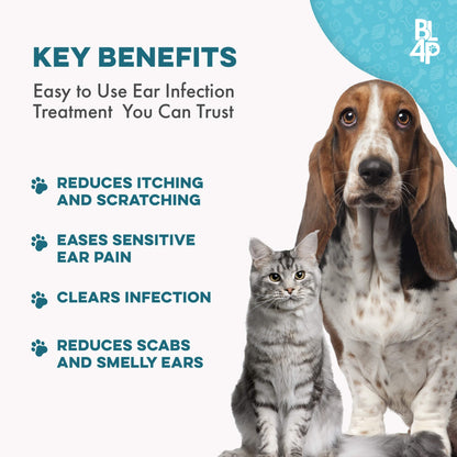 Dog Ear Health & Infection Relief Bundle (Ear Infections, Itching, Redness) - Misc image 4