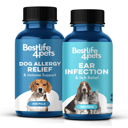 Dog Ear Health & Infection Relief Bundle (Ear Infections, Itching, Redness) - Misc image 1