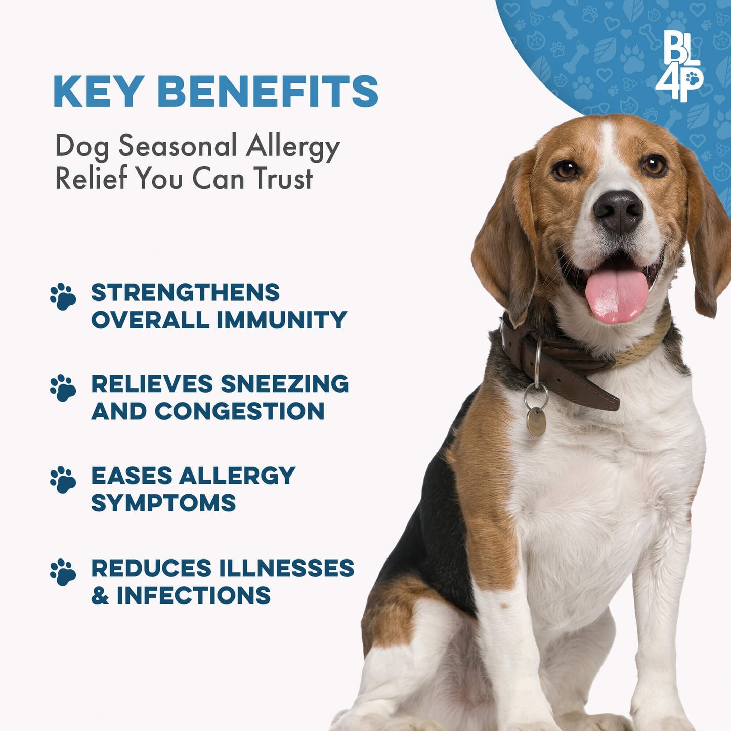 Dog UTI & Bladder Health Bundle (Urinary Tract Infections, Incontinence, Frequent Urination) - Jewelry image 5