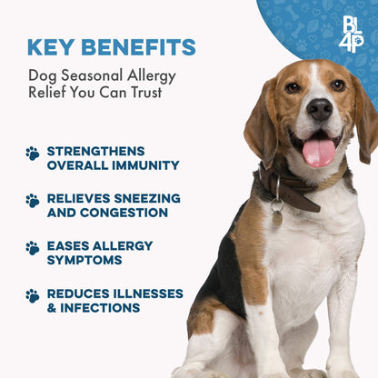 Dog UTI & Bladder Health Bundle (Urinary Tract Infections, Incontinence, Frequent Urination) - Jewelry image 5
