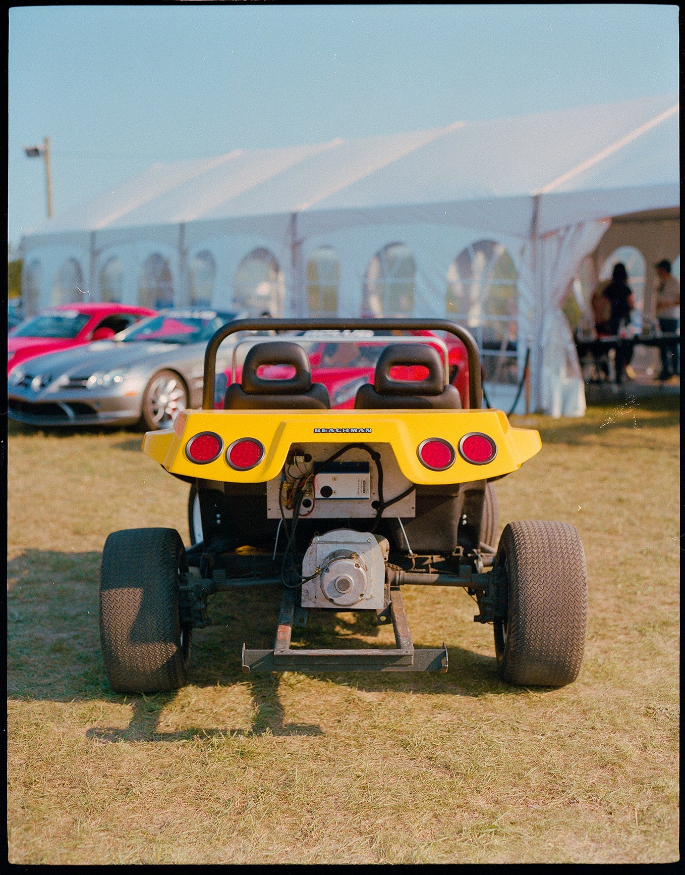 Bumblebee - Misc image 11