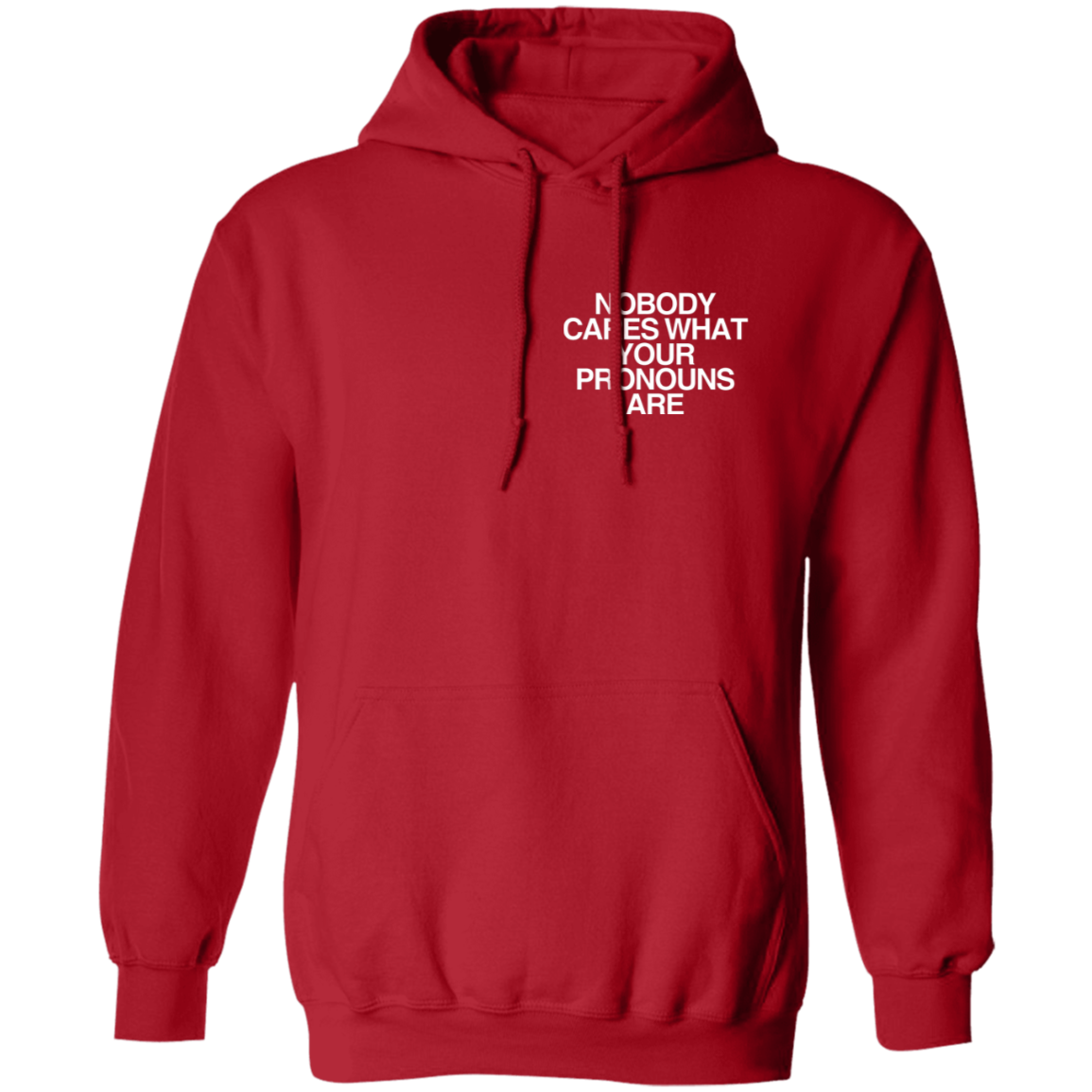 Nobody Cares What Your Pronouns Hoodie - Apparel image 2
