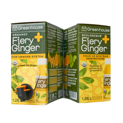 Fiery Ginger Multipack Shot Box  - Home Decor image 1