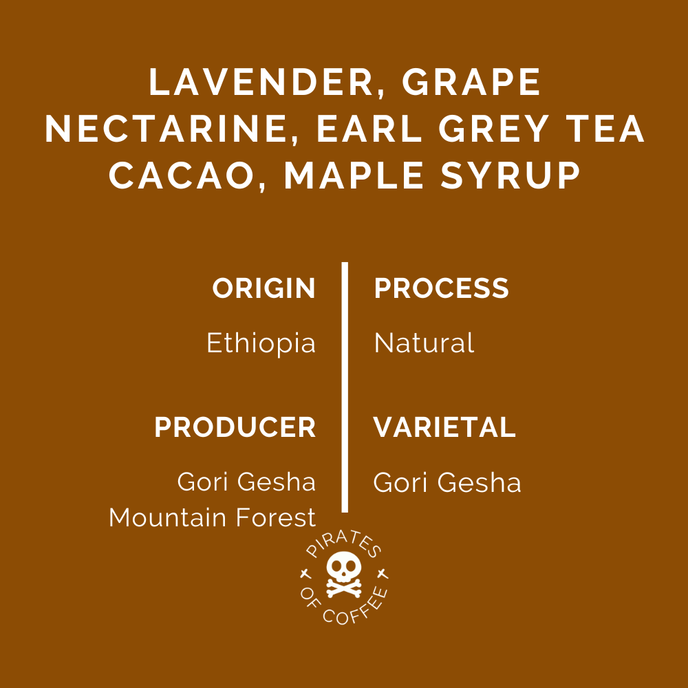 GORI GESHA ESPRESSO: Ethiopia Natural Gesha - Kitchen & Dining image 2