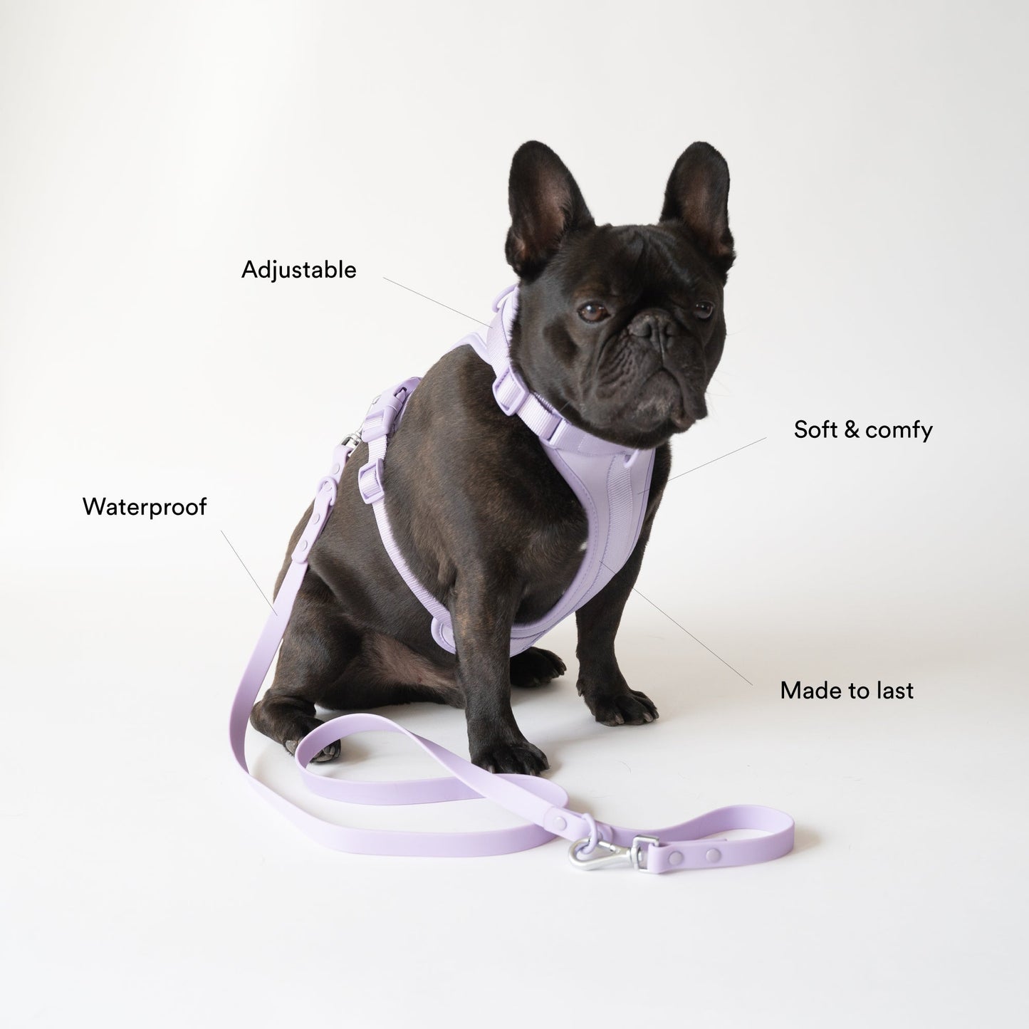Navy Blue Harness and Leash Set - Furniture image 3