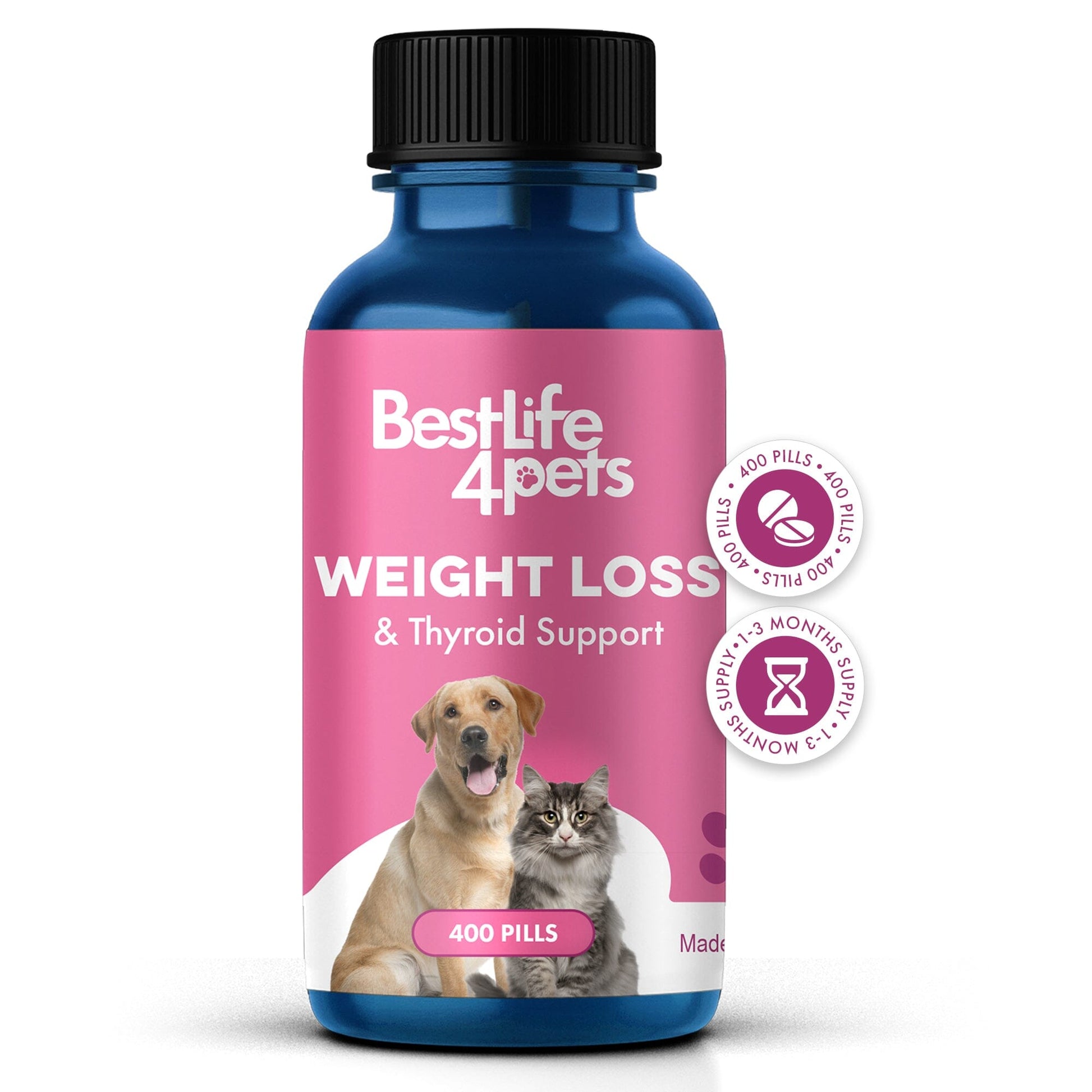 Dog Joint Health & Mobility Bundle (Arthritis, Hip Pain, Mobility Issues) - Furniture image 5
