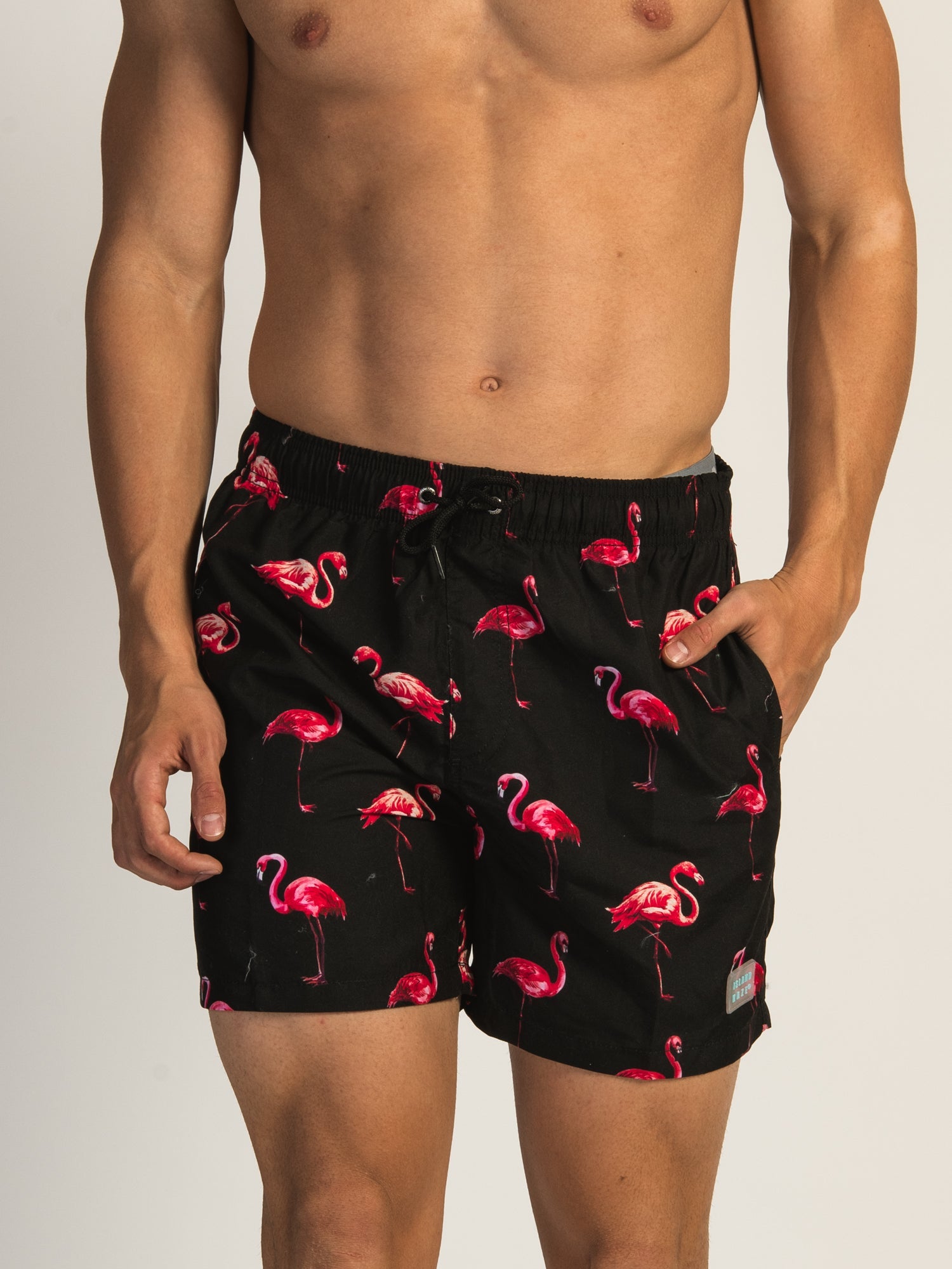 ISLAND HAZE FLAMINGO 5" VOLLEY - Misc image 1