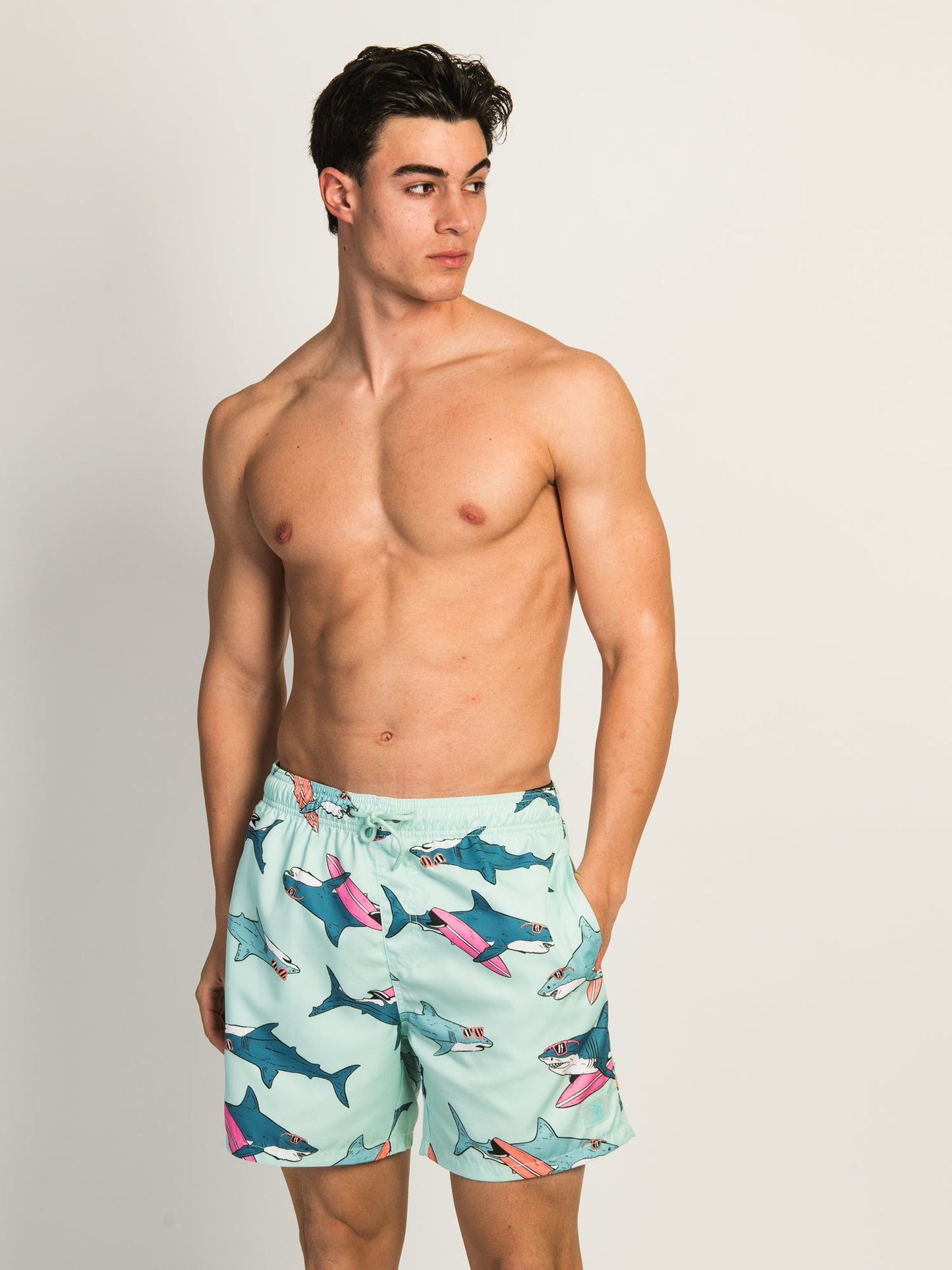 ISLAND HAZE SURFING SHARK 5IN VOLLEY SHORT - AQUA - Misc image 3