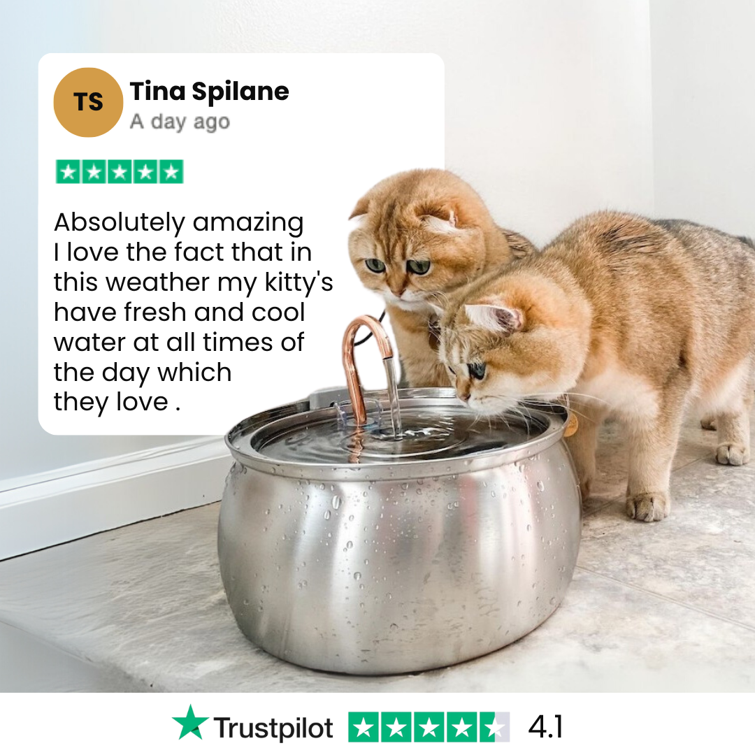 The KittySpout™ - Health & Happiness Cat Kit - Kitchen & Dining image 9