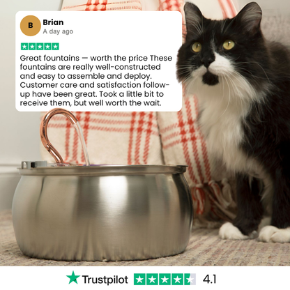 The KittySpout™ - Health & Happiness Cat Kit - Kitchen & Dining image 10