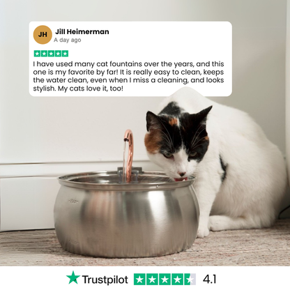The KittySpout™ - Health & Happiness Cat Kit - Kitchen & Dining image 11