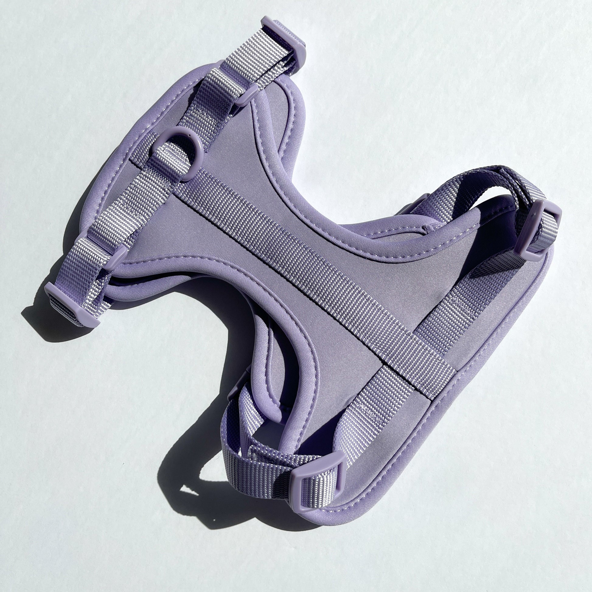 Lilac Harness and Leash Set - Furniture image 6