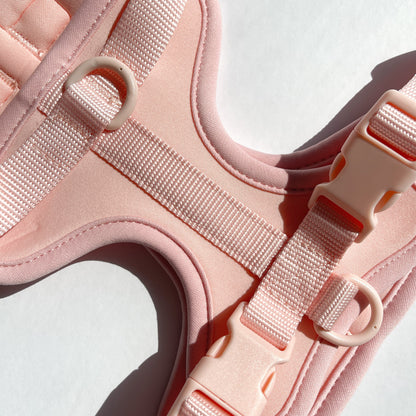 Pink Harness and Leash Set - Furniture image 5