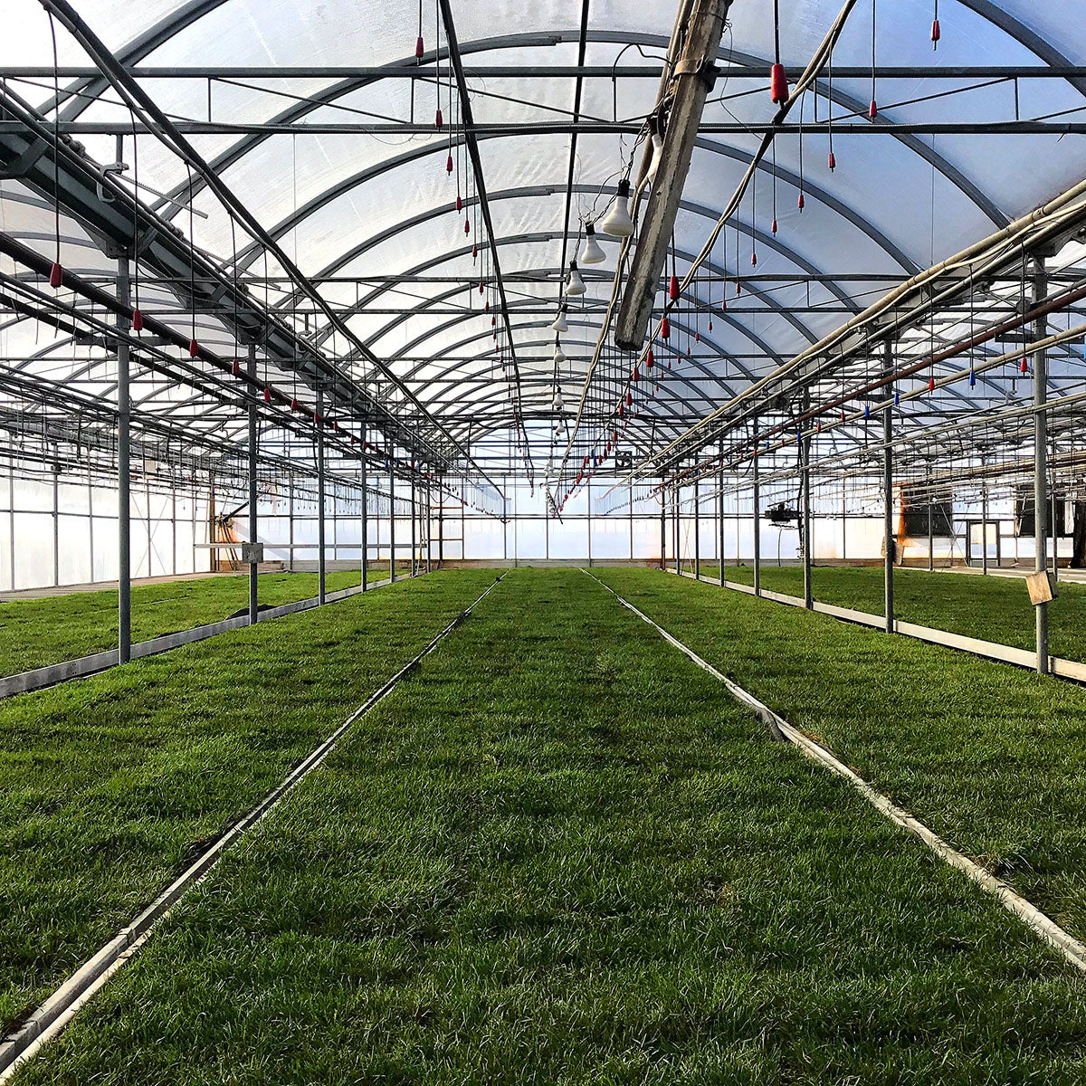 XL Size - Kitchen & Dining image 4