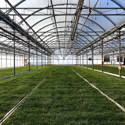 Regular Size - Kitchen & Dining image 4