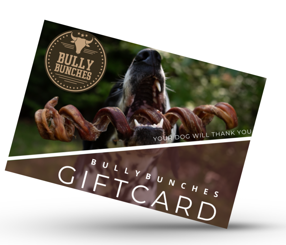 Gift Card ($200) - Misc image 1