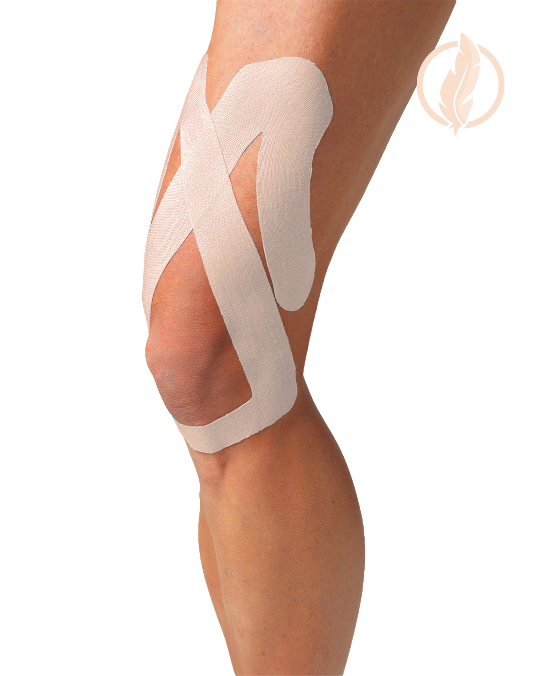 Pro-Knee - Misc image 28