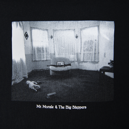 Mr. Morale & The Big Steppers Standard Vinyl Box Set - Misc image 7