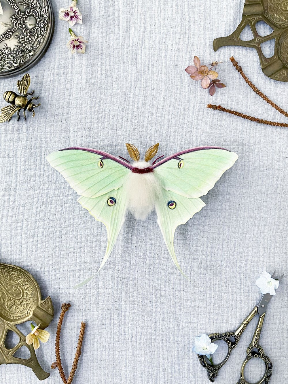 Luna Moth (Green) - Misc image 1