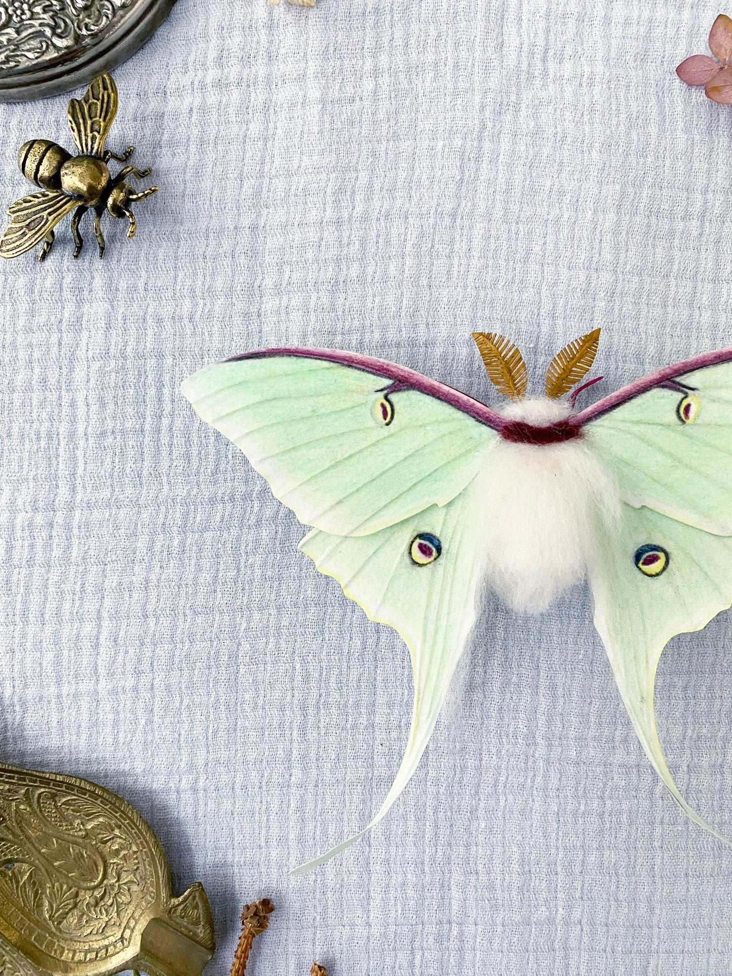 Luna Moth (Green) - Misc image 2