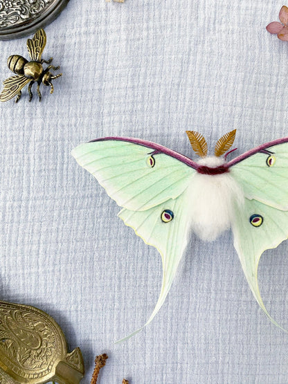 Luna Moth (Green) - Misc image 2