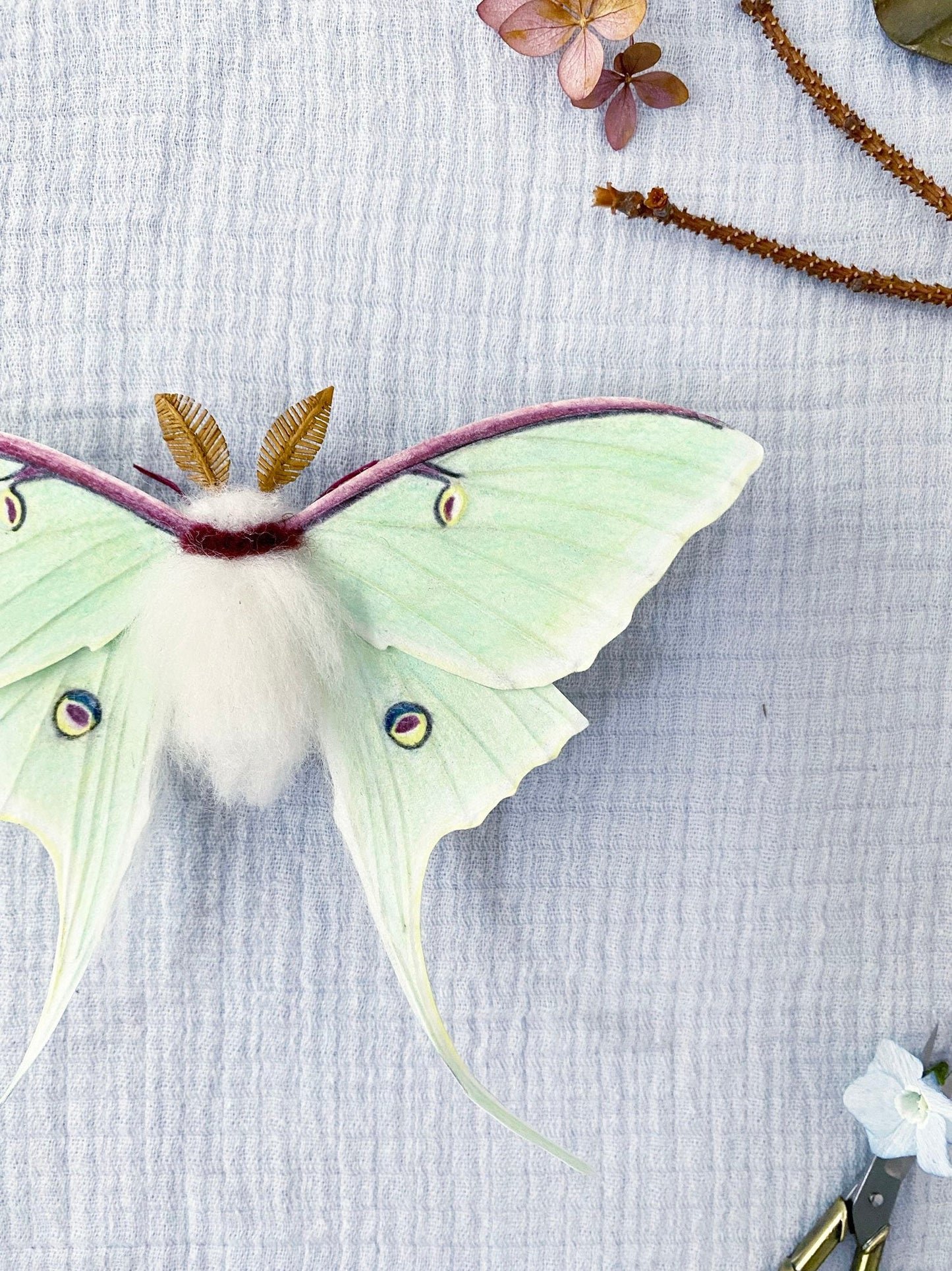 Luna Moth (Green) - Misc image 3