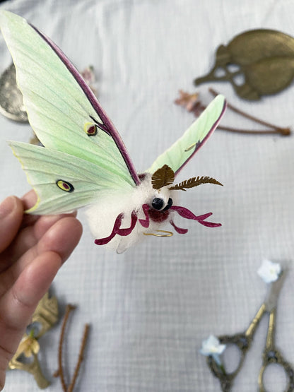 Luna Moth (Green) - Misc image 5