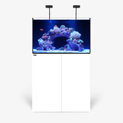 MARINE X 90.3 PLUS Edition - Small Appliances image 1