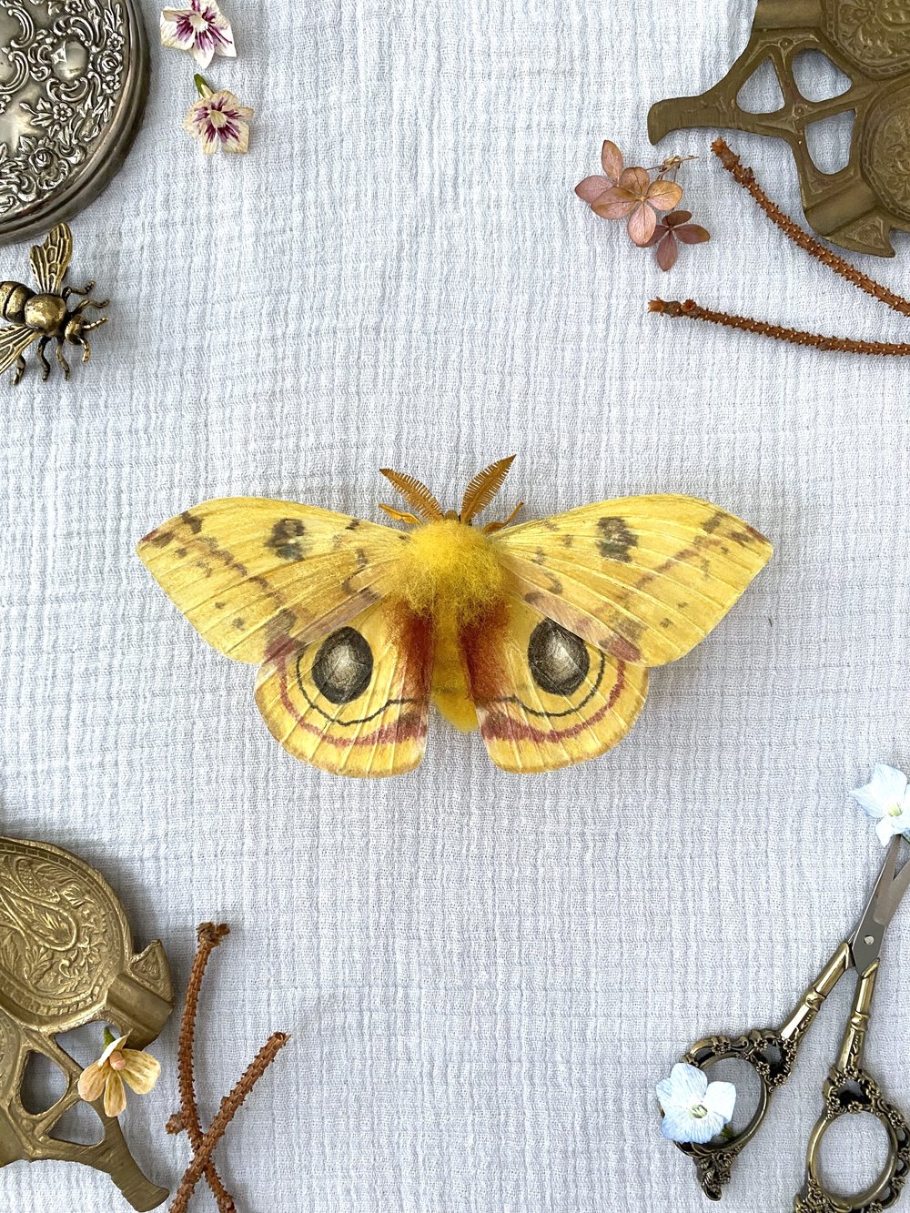 Male Io Moth (Yellow) - Misc image 1