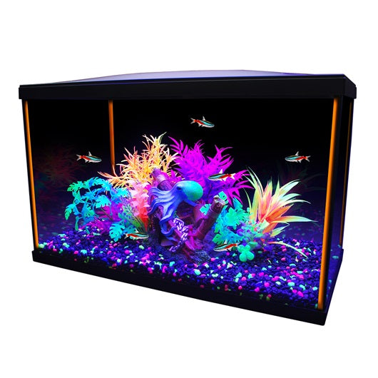 Marina iGlo 360˚ Aquarium Kit - 10 L (2.65 US gal) - Kitchen & Dining image 1