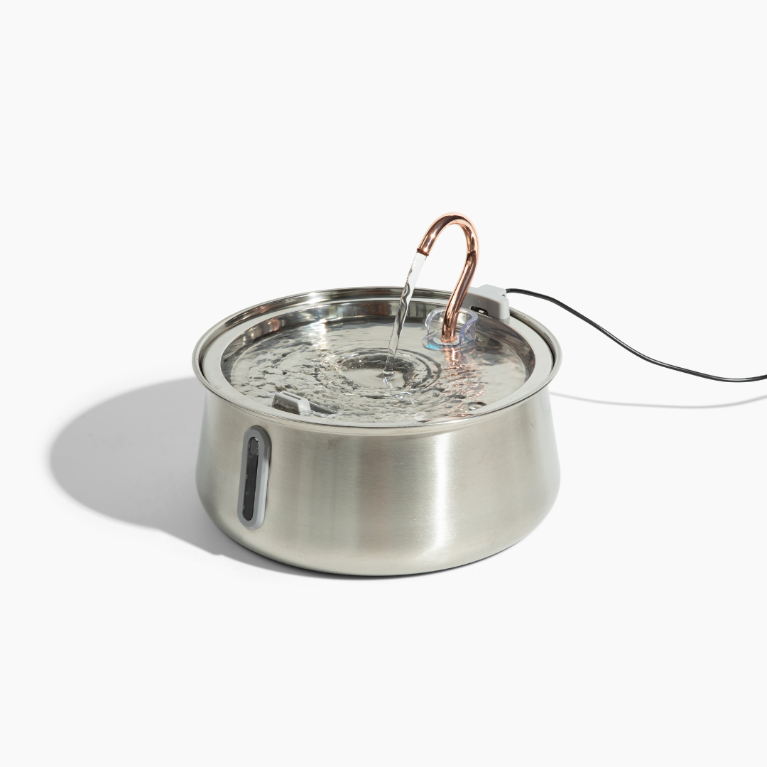 The KittySpout™ 2.0 - Health & Happiness Cat Kit - Kitchen & Dining image 9