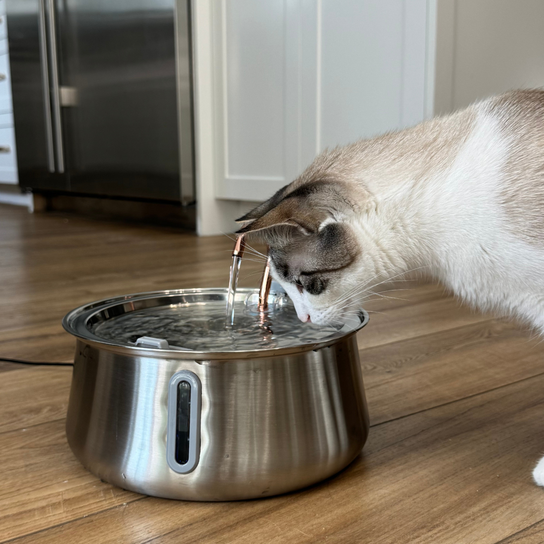 The KittySpout™ 2.0 - Health & Happiness Cat Kit - Kitchen & Dining image 2