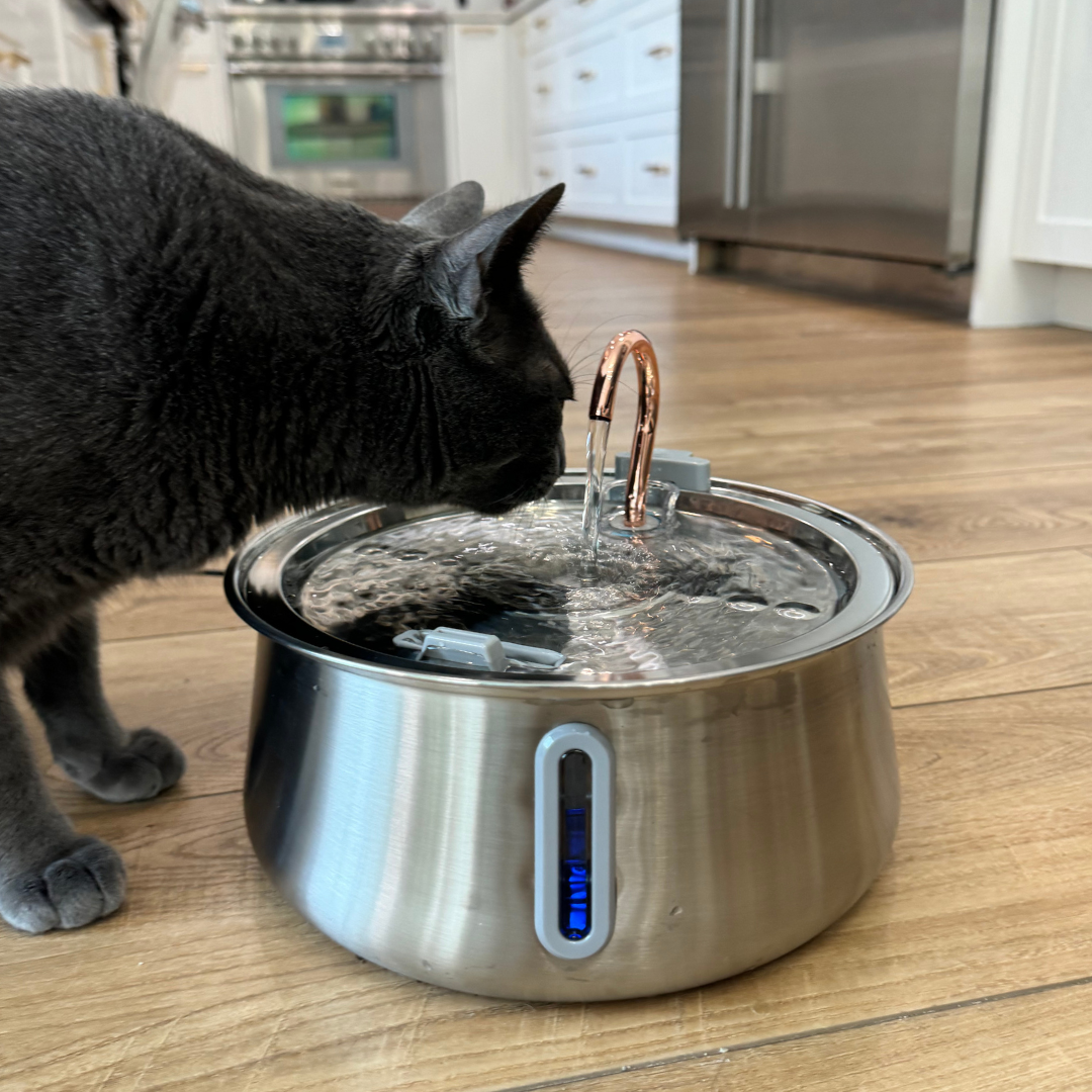The KittySpout™ 2.0 - Health & Happiness Cat Kit - Kitchen & Dining image 3