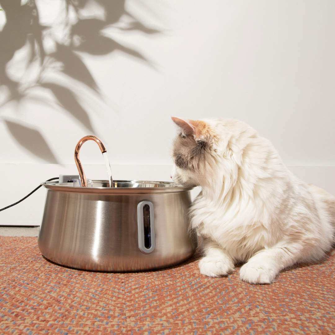 The KittySpout™ 2.0 - Health & Happiness Cat Kit - Kitchen & Dining image 1