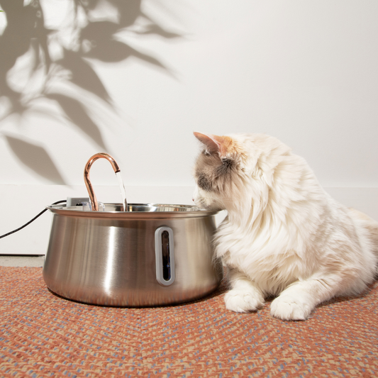 The KittySpout™ 2.0 - Health & Happiness Cat Kit - Kitchen & Dining image 1