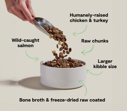 RawMix Large Breed Ancient Grains Dog Kibble - Misc image 4