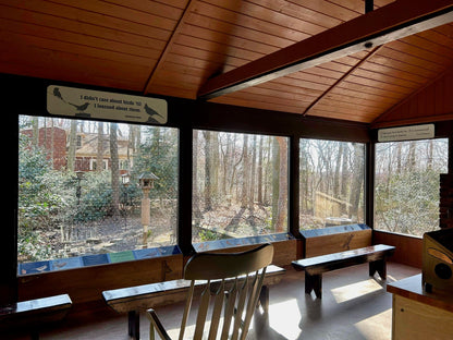 Feather Friendly Pro DIY, 6" x 150ft Melody Pattern - Kitchen & Dining image 10