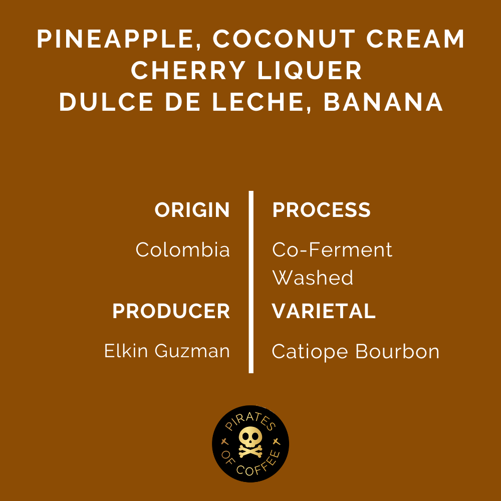 PINA COLADA: Colombia Co-Ferment Washed - Kitchen & Dining image 2