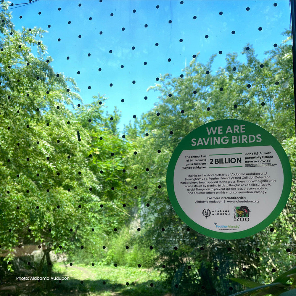 Feather Friendly Pro DIY, 6" x 150ft Melody Pattern - Kitchen & Dining image 22