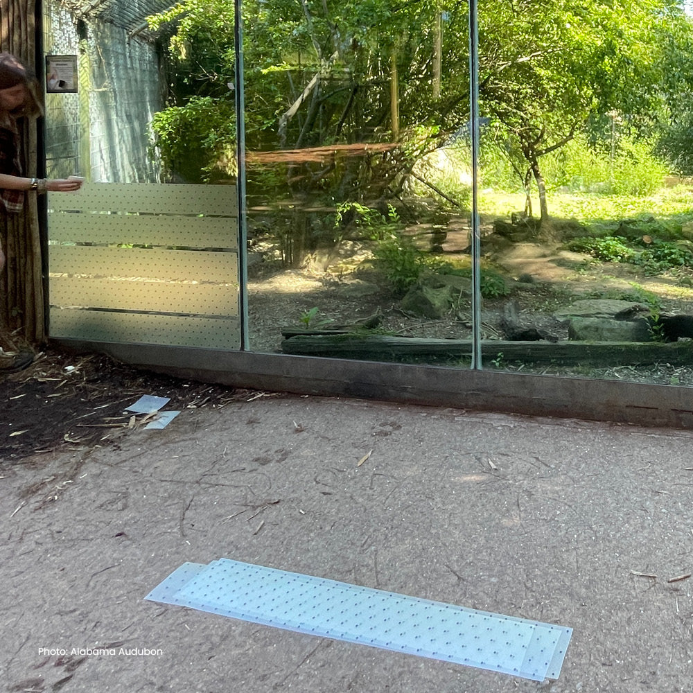 Feather Friendly Pro DIY, 6" x 150ft Melody Pattern - Kitchen & Dining image 21