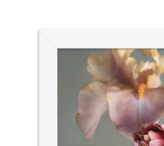 Awakening (Gallery Edition, Framed) - Misc image 2