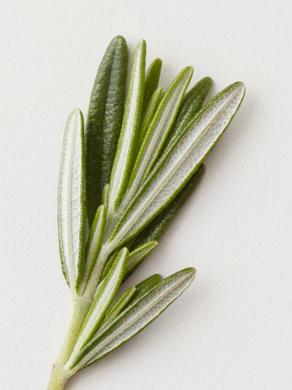 Pro Stylist Christine's Faves - Misc image 3